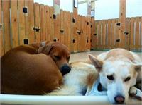 daycare pic 36 - simon and halley naptime